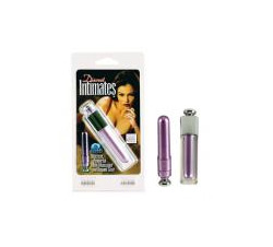  Discreet Intimates Vibrator - Purple 